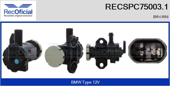 RECSPC75003.1