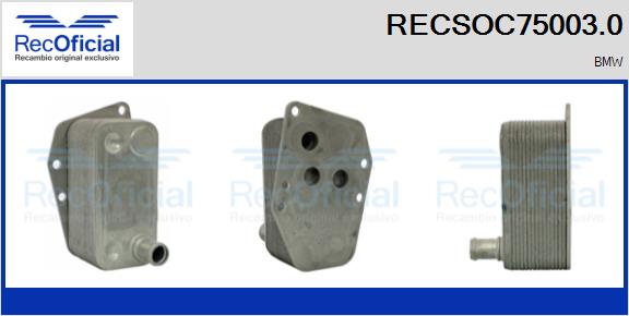 RECSOC75003.0