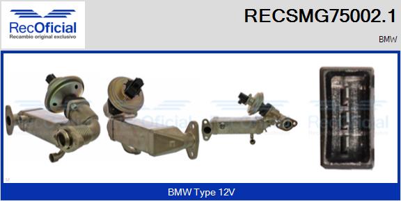 RECSMG75002.1