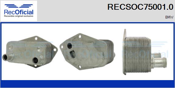RECSOC75001.0