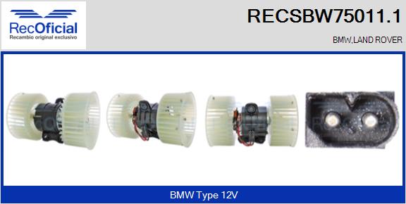 RECSBW75011.1