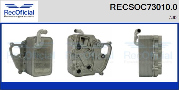 RECSOC73010.0