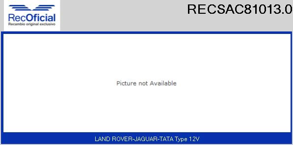 RECSAC81013.0