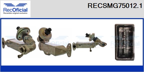 RECSMG75012.1