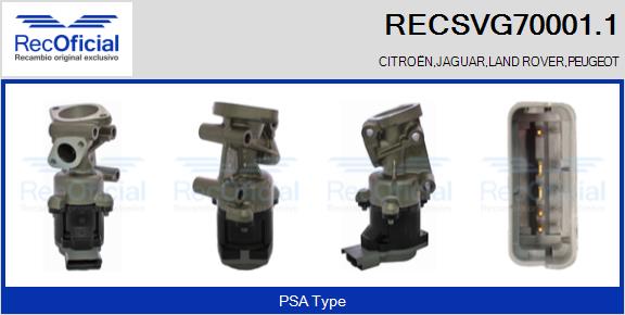 RECSVG70001.1