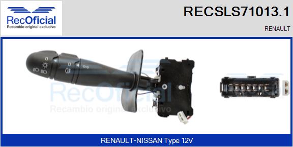 RECSLS71013.1