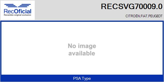 RECSVG70009.0