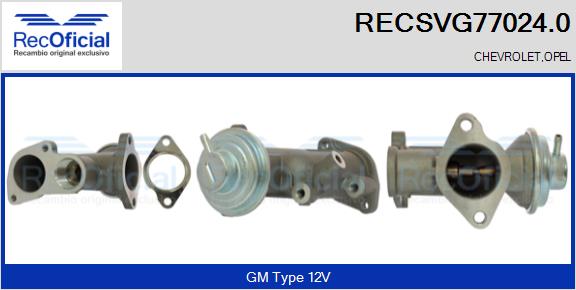 RECSVG77024.0