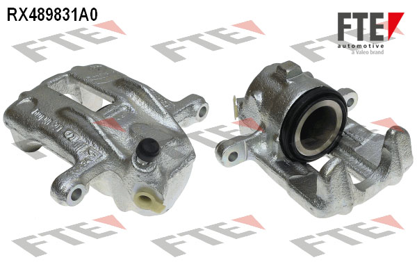 RX489831A0
