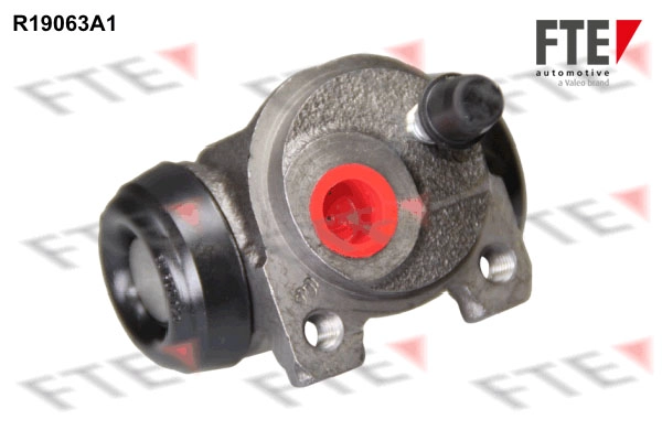R19063A1