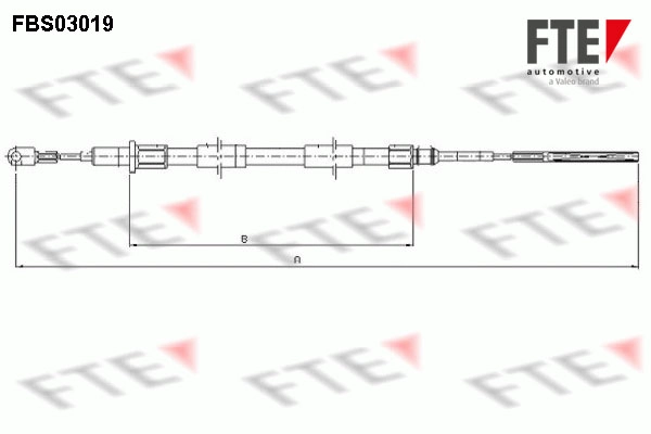 FBS03019