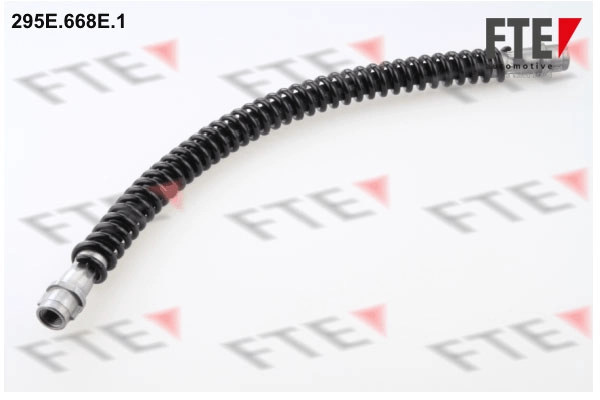 295E.668E.1