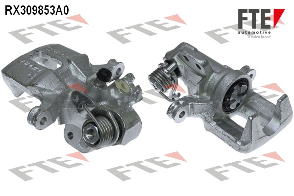 RX309853A0