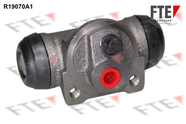 R19070A1