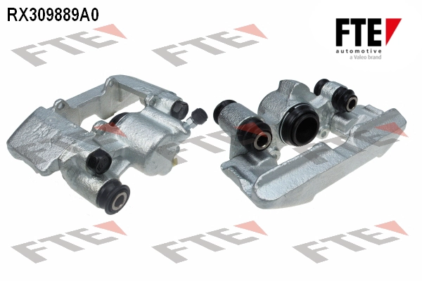 RX309889A0