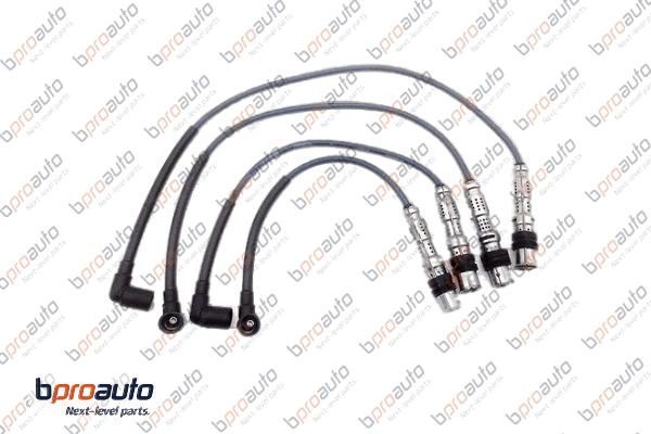 1BP30011AA