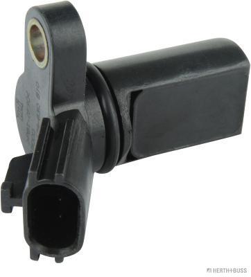 J5631002