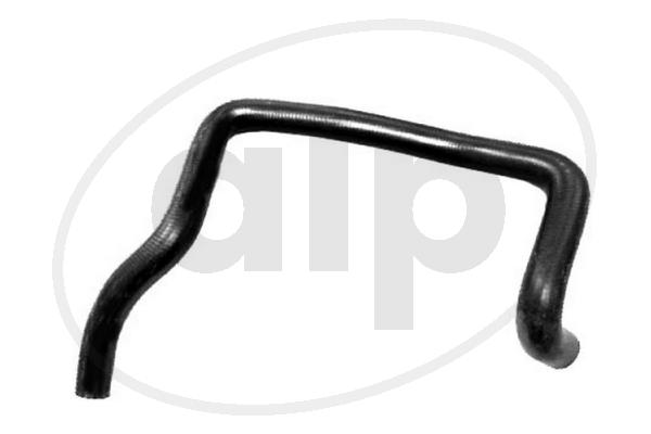 ALP-004204
