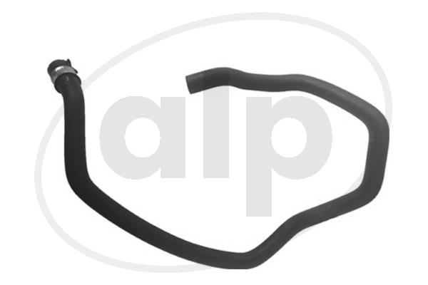 ALP-005587