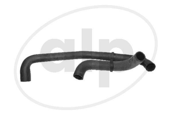 ALP-004078