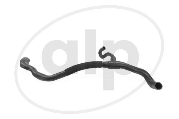 ALP-007808