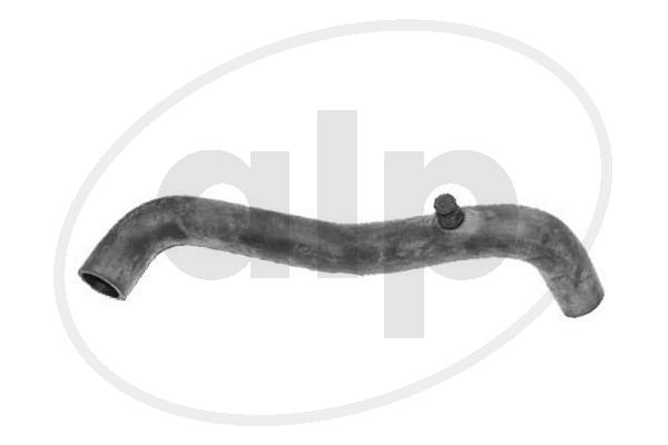 ALP-004021