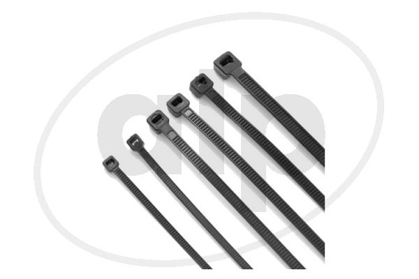 ALP-000024