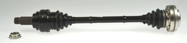 304484