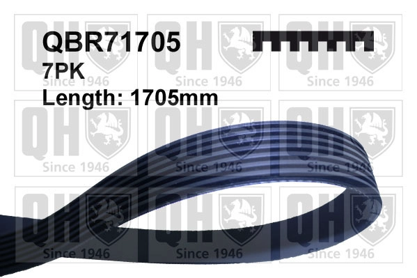 QBR71705