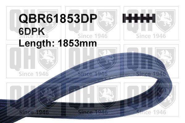 QBR61853DP
