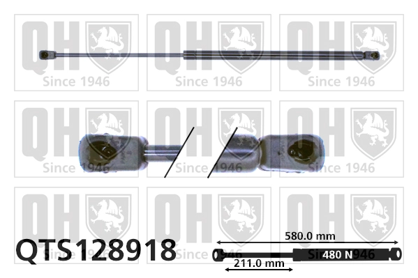 QTS128918