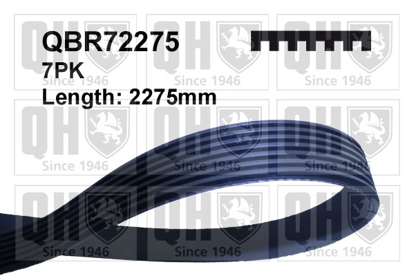 QBR72275