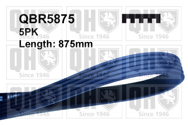 QBR5875