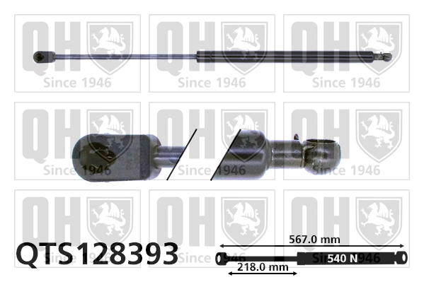 QTS128393