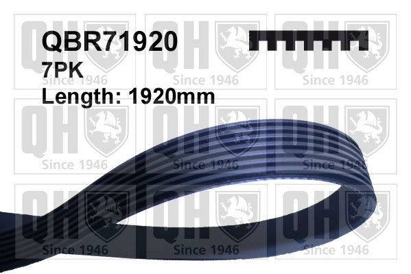 QBR71920