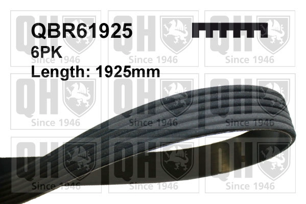 QBR61925