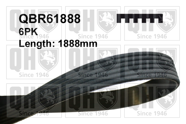 QBR61888