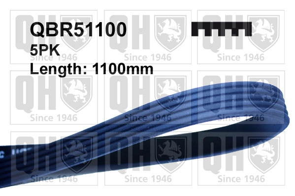 QBR51100