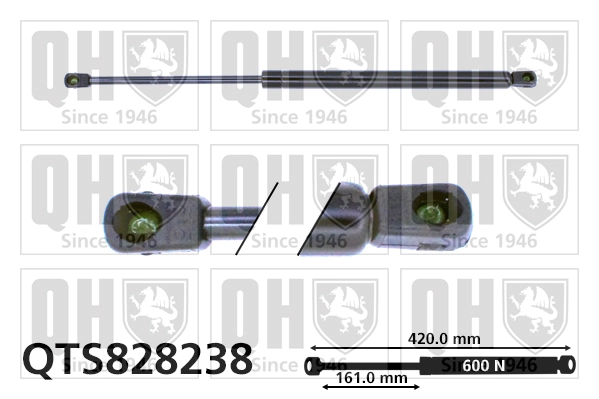 QTS828238