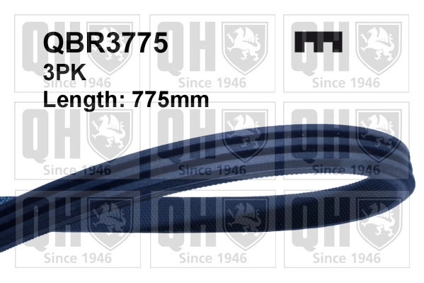 QBR3775