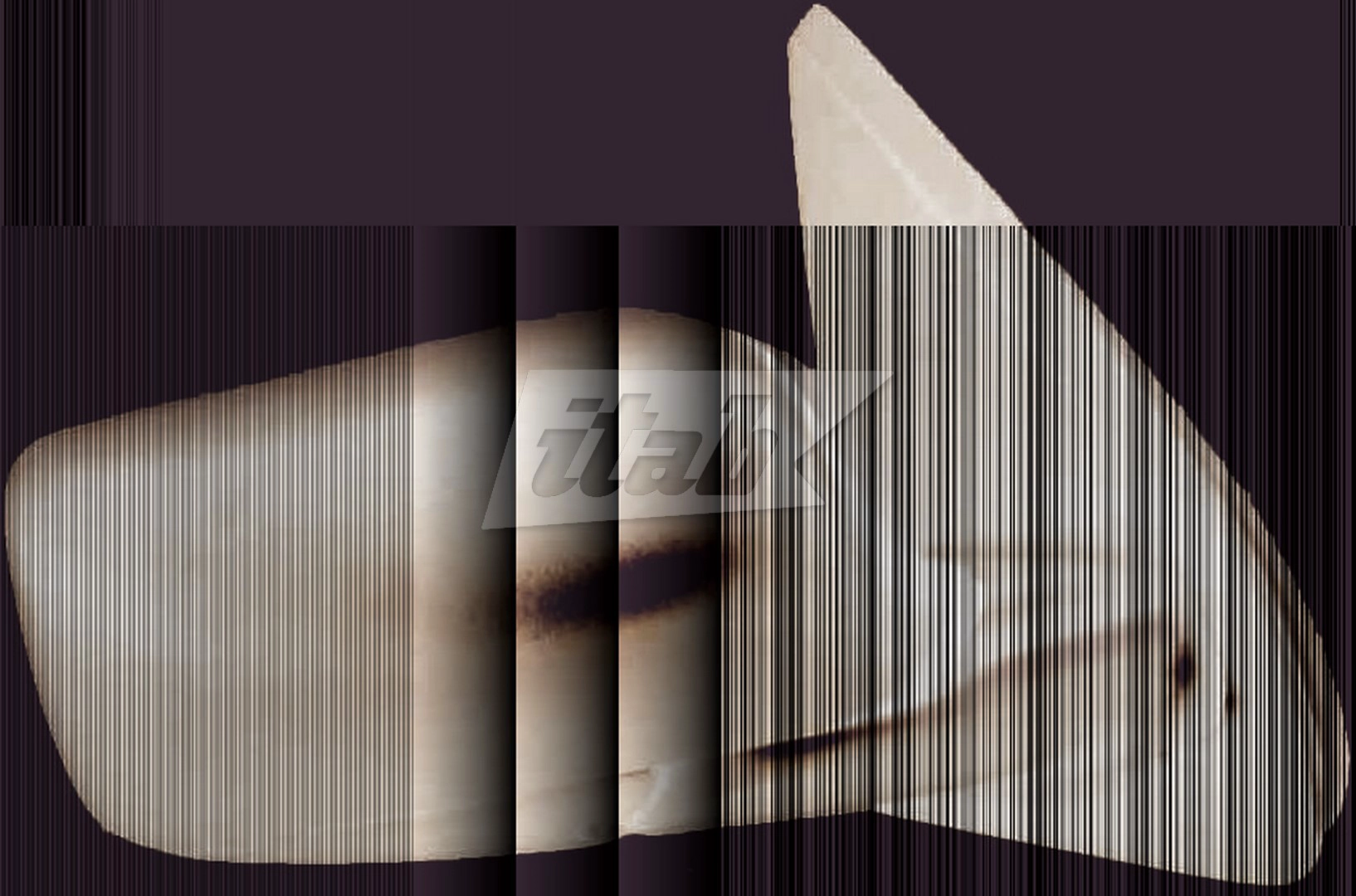 RTVR1006AV