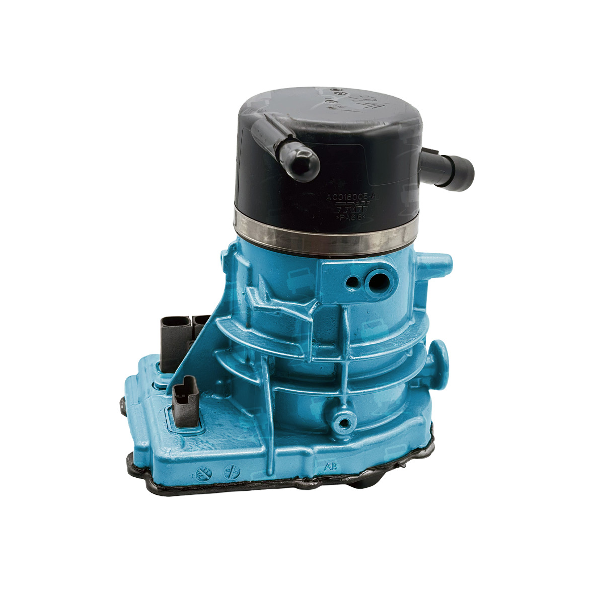 PEL0029R