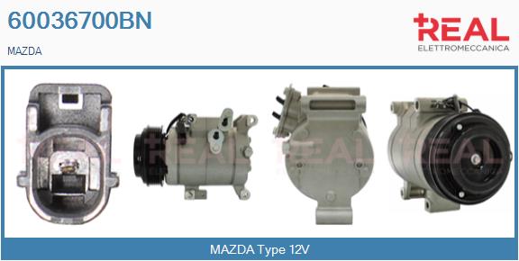 60036700BN