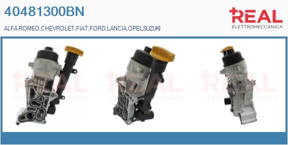 40481300BN