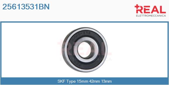 25613531BN