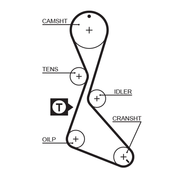 T119