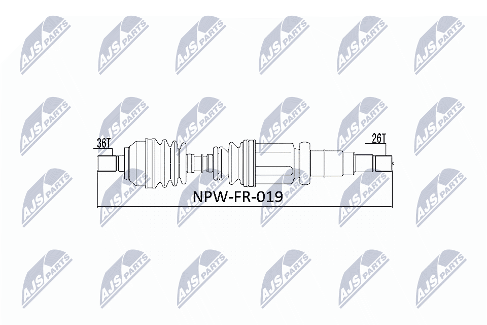 NPW-FR-019