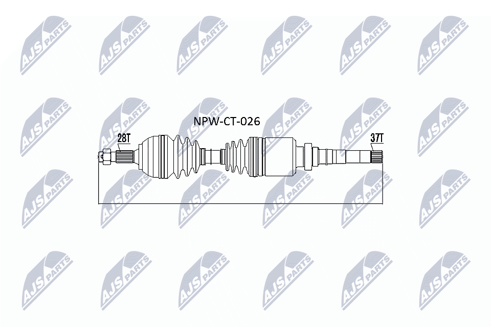 NPW-CT-026
