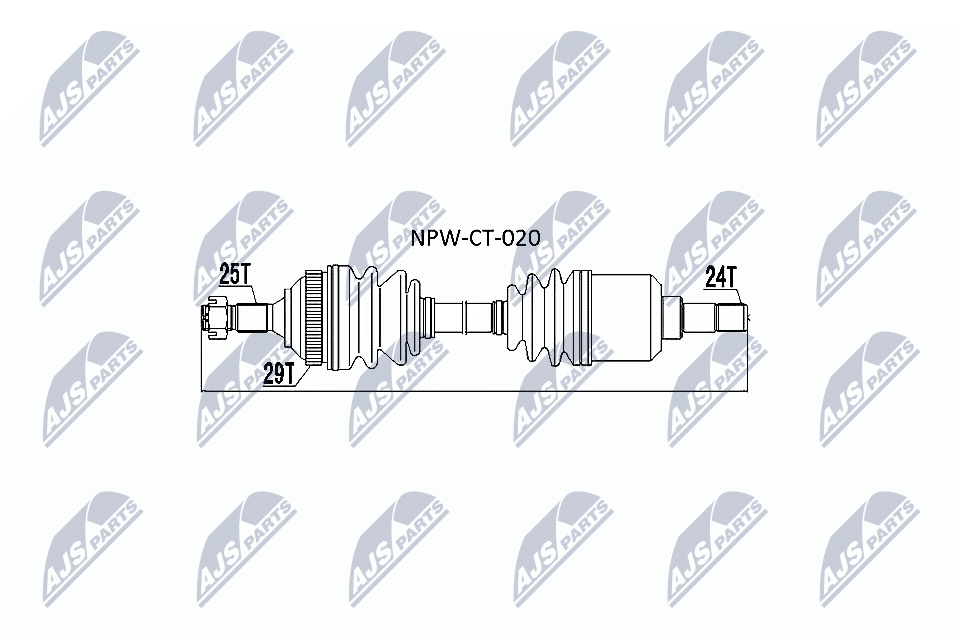 NPW-CT-020