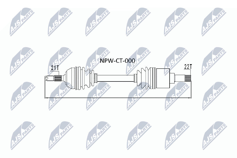 NPW-CT-000
